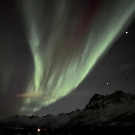 Stunning Lofoten With Views&jacuzzi *